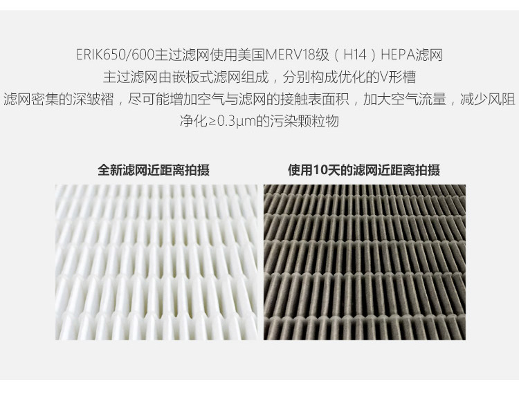 ERIK650/600 HEPA主过滤网8