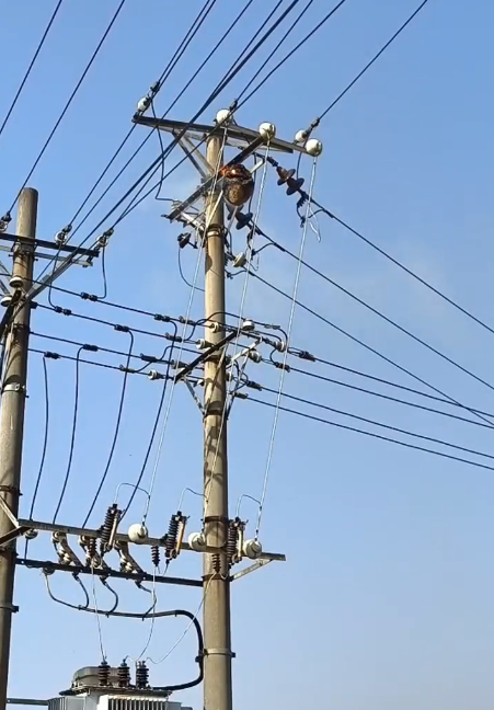 激光清障仪清除鸟窝