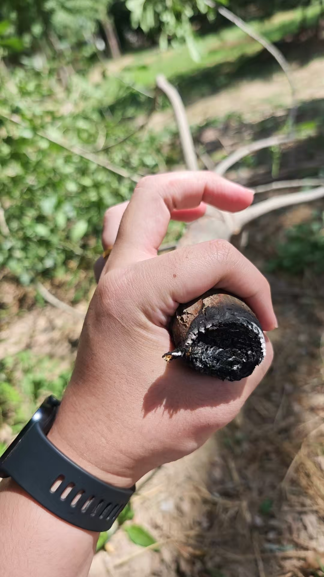 激光清障仪除树障现场 激光清障仪除树障现场