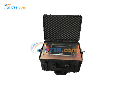 ALY101-06 SF6分析仪